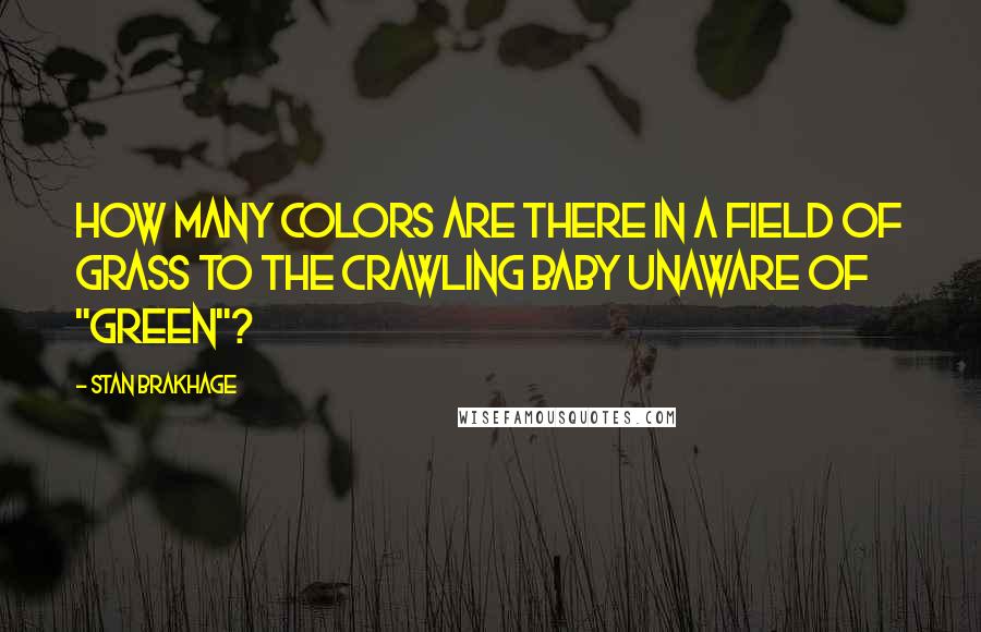 Stan Brakhage Quotes: How many colors are there in a field of grass to the crawling baby unaware of "green"?