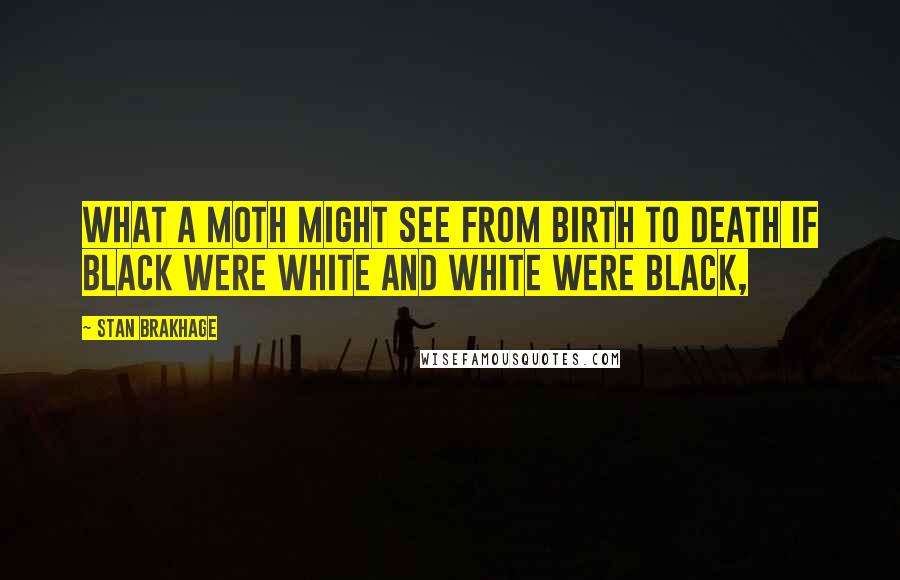 Stan Brakhage Quotes: What a moth might see from birth to death if black were white and white were black,