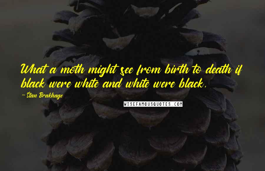 Stan Brakhage Quotes: What a moth might see from birth to death if black were white and white were black,