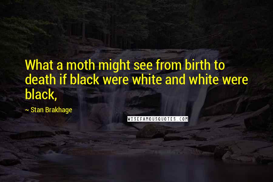 Stan Brakhage Quotes: What a moth might see from birth to death if black were white and white were black,