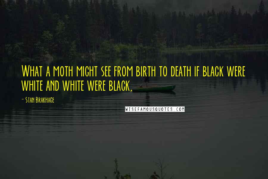 Stan Brakhage Quotes: What a moth might see from birth to death if black were white and white were black,