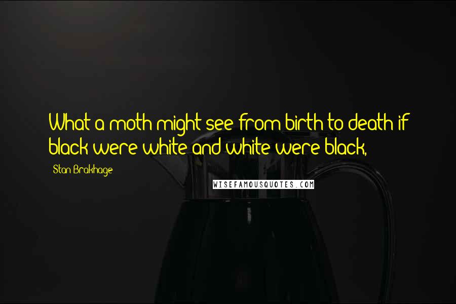 Stan Brakhage Quotes: What a moth might see from birth to death if black were white and white were black,