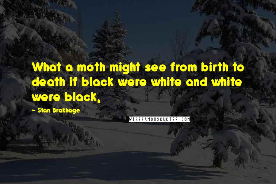 Stan Brakhage Quotes: What a moth might see from birth to death if black were white and white were black,