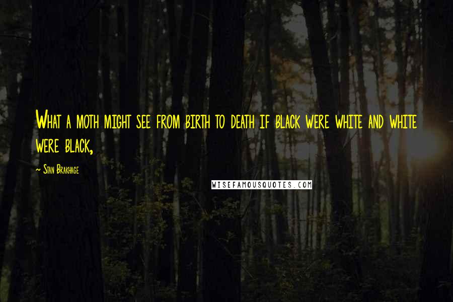 Stan Brakhage Quotes: What a moth might see from birth to death if black were white and white were black,