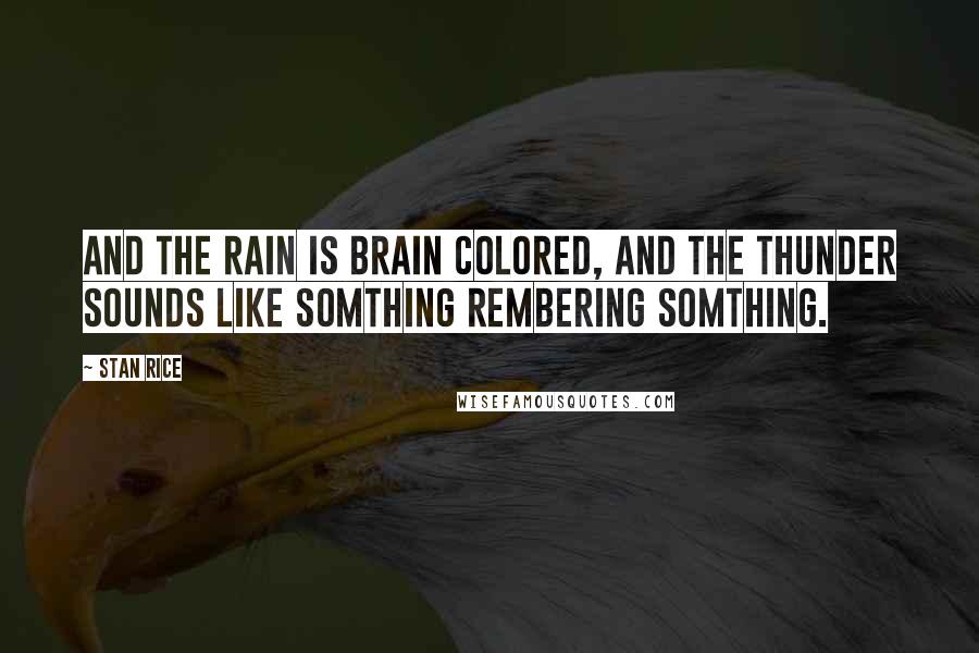 Stan Rice Quotes: And the rain is brain colored, and the thunder sounds like somthing rembering somthing.