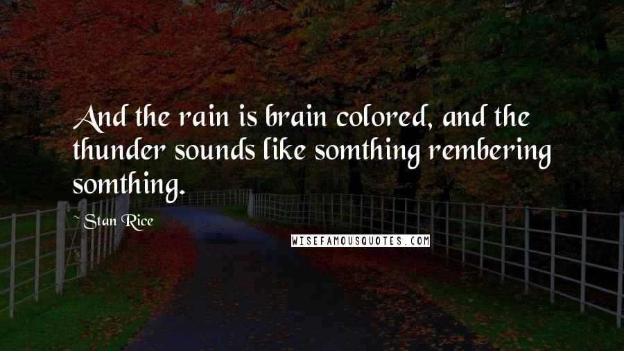 Stan Rice Quotes: And the rain is brain colored, and the thunder sounds like somthing rembering somthing.