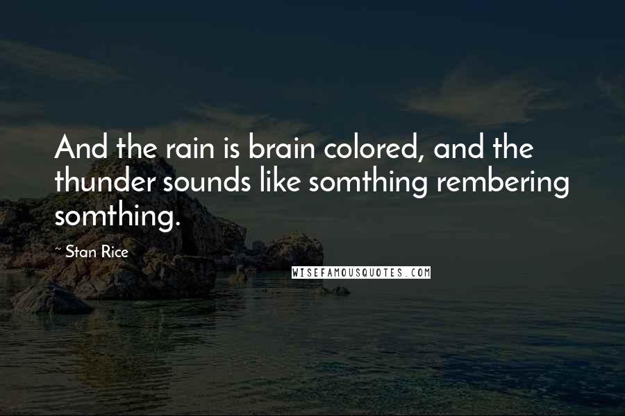 Stan Rice Quotes: And the rain is brain colored, and the thunder sounds like somthing rembering somthing.