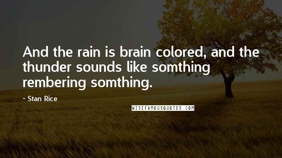 Stan Rice Quotes: And the rain is brain colored, and the thunder sounds like somthing rembering somthing.