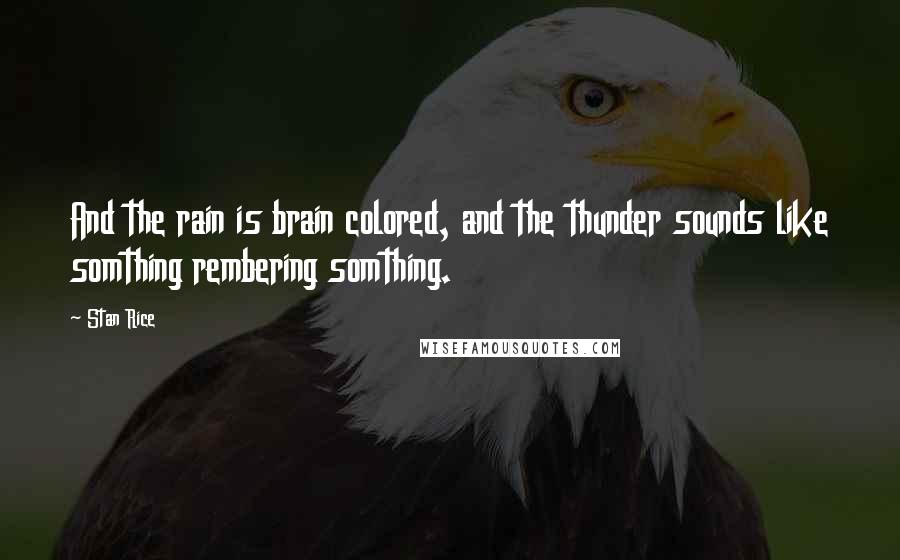 Stan Rice Quotes: And the rain is brain colored, and the thunder sounds like somthing rembering somthing.