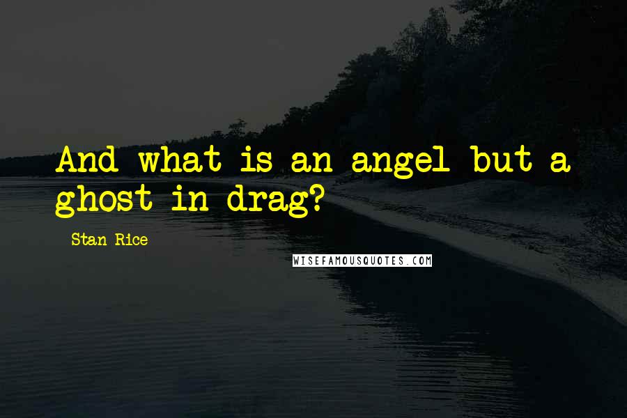 Stan Rice Quotes: And what is an angel but a ghost in drag?