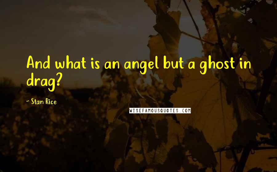 Stan Rice Quotes: And what is an angel but a ghost in drag?