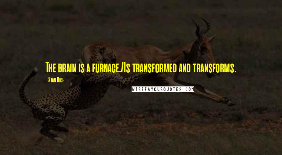 Stan Rice Quotes: The brain is a furnace./Is transformed and transforms.