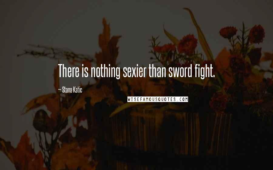 Stana Katic Quotes: There is nothing sexier than sword fight.