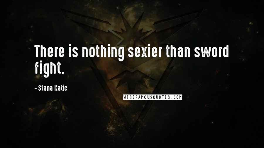 Stana Katic Quotes: There is nothing sexier than sword fight.