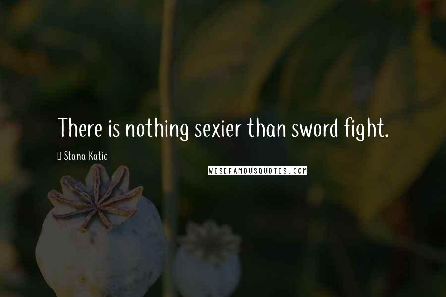 Stana Katic Quotes: There is nothing sexier than sword fight.