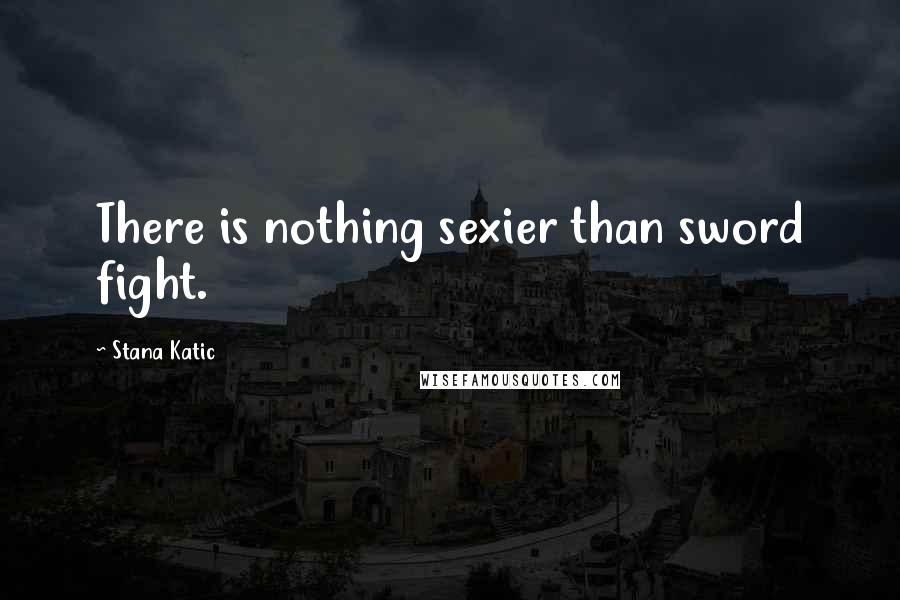 Stana Katic Quotes: There is nothing sexier than sword fight.