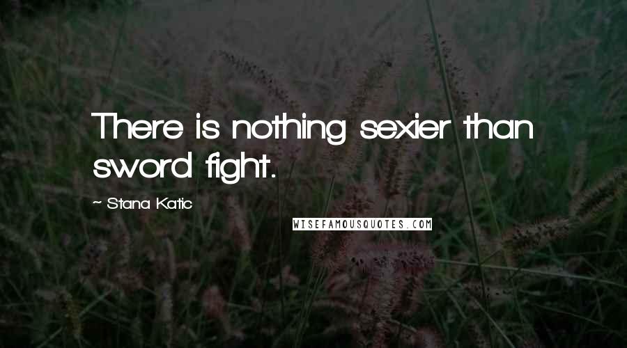 Stana Katic Quotes: There is nothing sexier than sword fight.