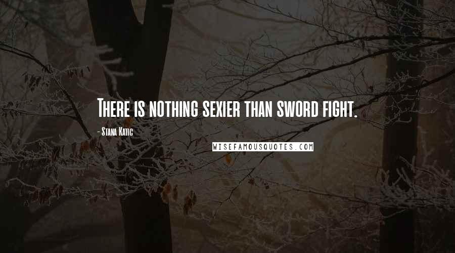 Stana Katic Quotes: There is nothing sexier than sword fight.