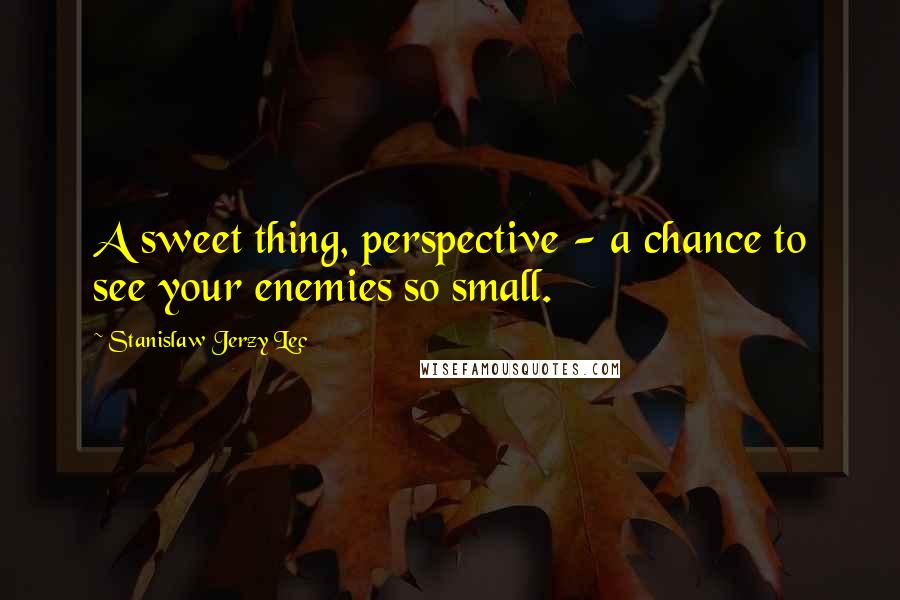 Stanislaw Jerzy Lec Quotes: A sweet thing, perspective - a chance to see your enemies so small.