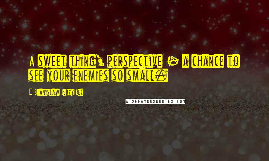 Stanislaw Jerzy Lec Quotes: A sweet thing, perspective - a chance to see your enemies so small.