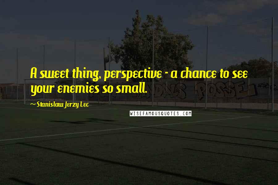 Stanislaw Jerzy Lec Quotes: A sweet thing, perspective - a chance to see your enemies so small.