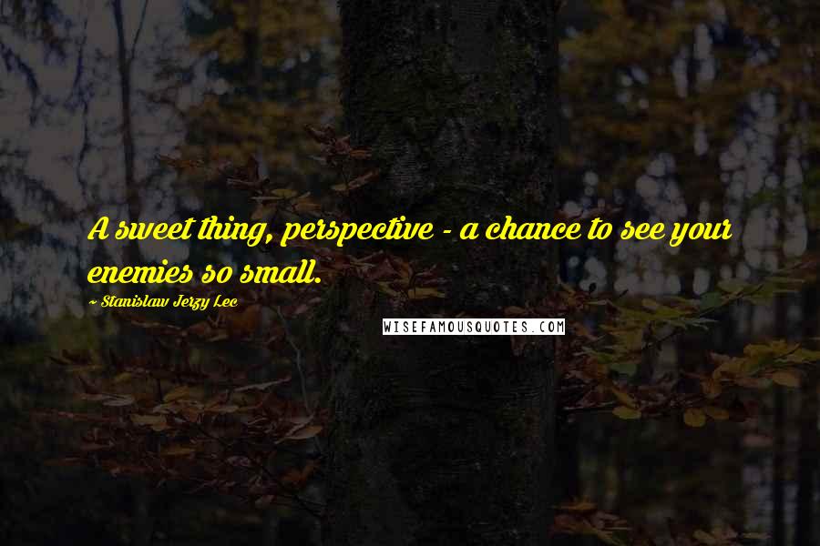 Stanislaw Jerzy Lec Quotes: A sweet thing, perspective - a chance to see your enemies so small.