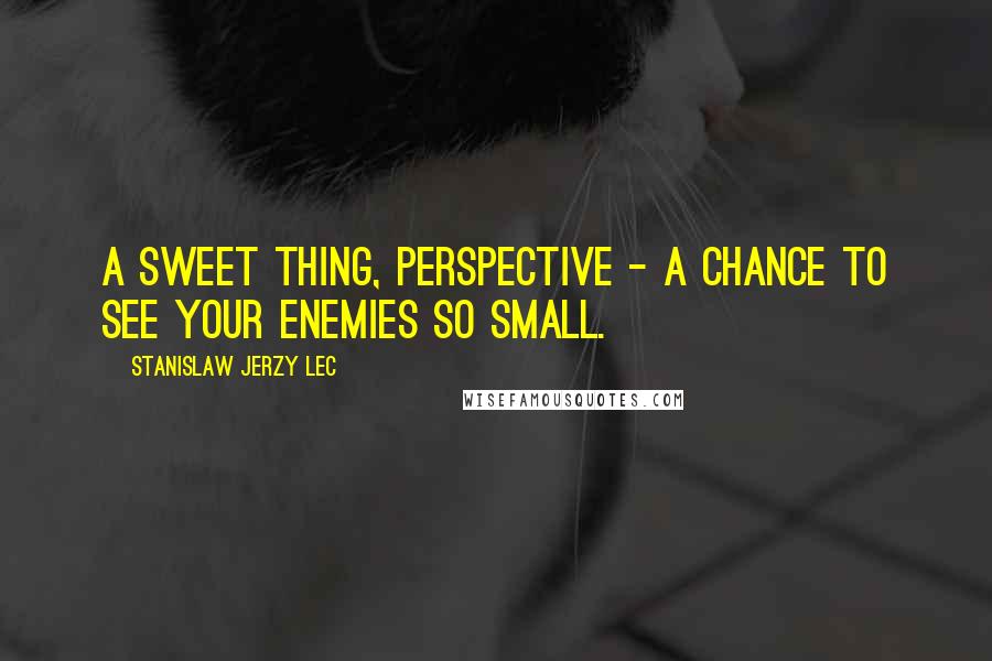 Stanislaw Jerzy Lec Quotes: A sweet thing, perspective - a chance to see your enemies so small.