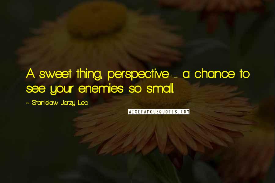 Stanislaw Jerzy Lec Quotes: A sweet thing, perspective - a chance to see your enemies so small.