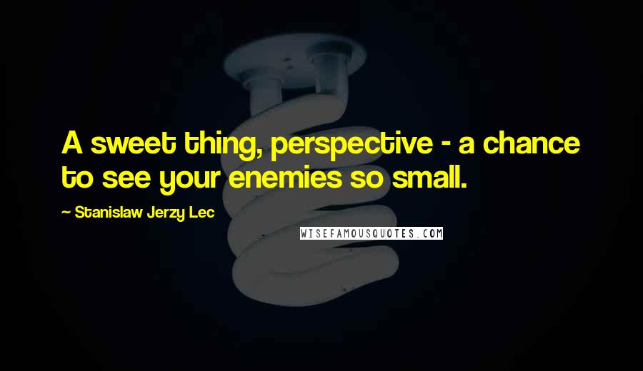 Stanislaw Jerzy Lec Quotes: A sweet thing, perspective - a chance to see your enemies so small.