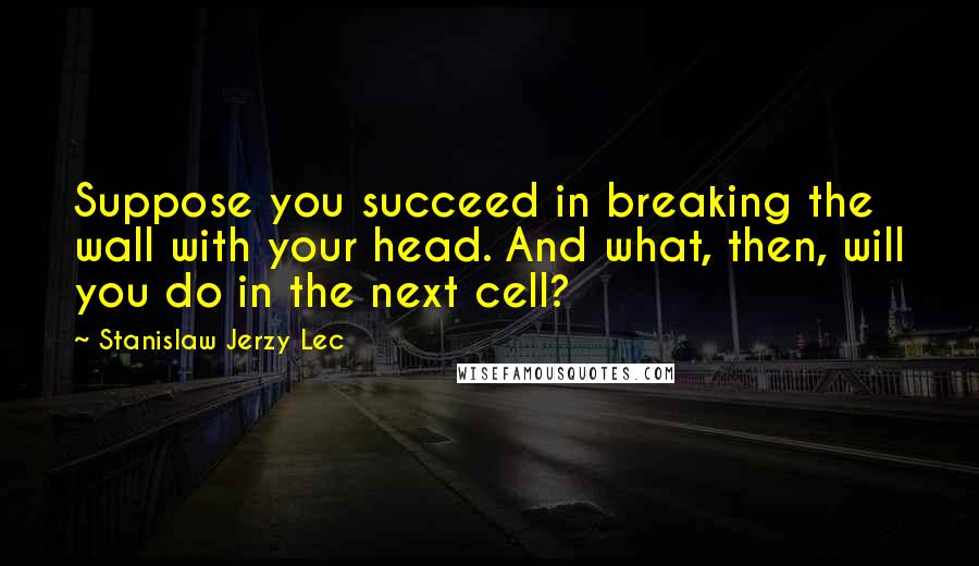 Stanislaw Jerzy Lec Quotes: Suppose you succeed in breaking the wall with your head. And what, then, will you do in the next cell?