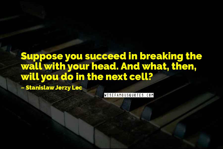 Stanislaw Jerzy Lec Quotes: Suppose you succeed in breaking the wall with your head. And what, then, will you do in the next cell?