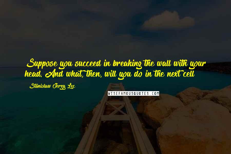 Stanislaw Jerzy Lec Quotes: Suppose you succeed in breaking the wall with your head. And what, then, will you do in the next cell?