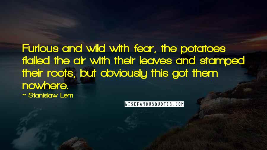 Stanislaw Lem Quotes: Furious and wild with fear, the potatoes flailed the air with their leaves and stamped their roots, but obviously this got them nowhere.