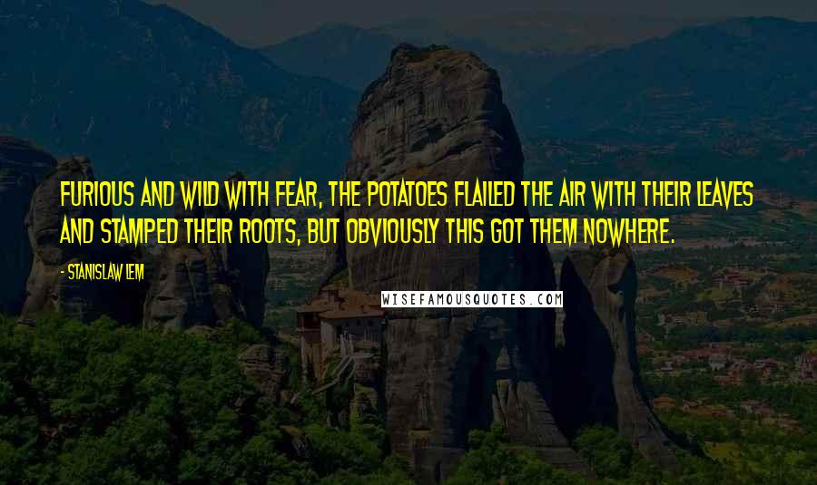 Stanislaw Lem Quotes: Furious and wild with fear, the potatoes flailed the air with their leaves and stamped their roots, but obviously this got them nowhere.