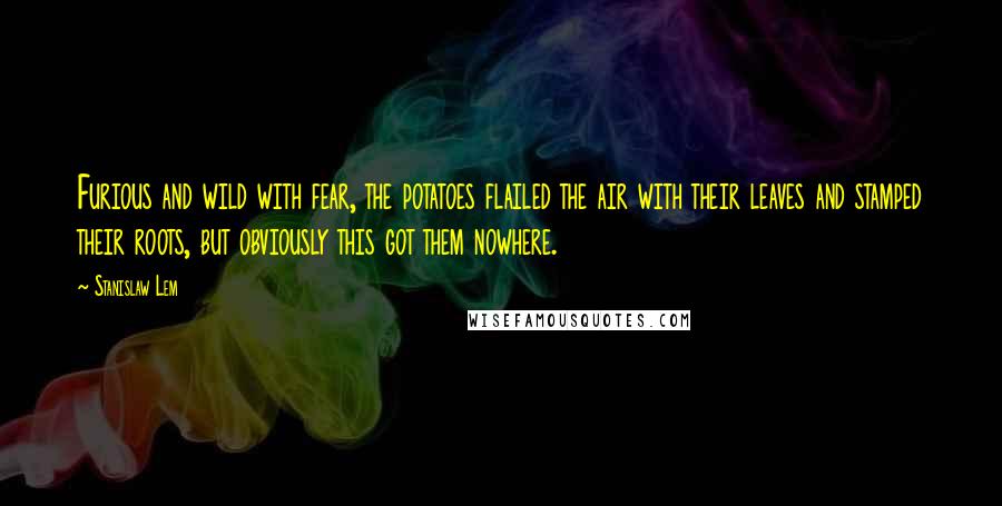 Stanislaw Lem Quotes: Furious and wild with fear, the potatoes flailed the air with their leaves and stamped their roots, but obviously this got them nowhere.