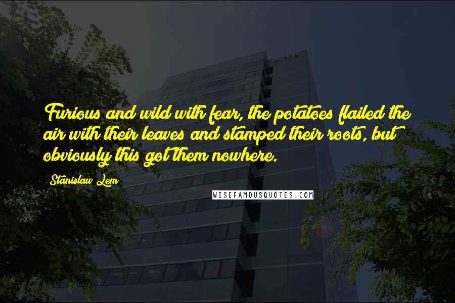 Stanislaw Lem Quotes: Furious and wild with fear, the potatoes flailed the air with their leaves and stamped their roots, but obviously this got them nowhere.