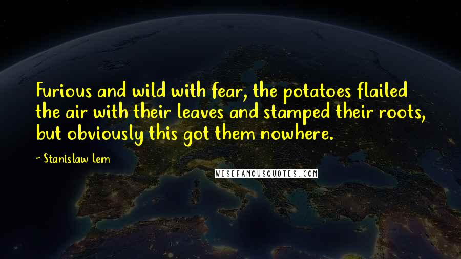 Stanislaw Lem Quotes: Furious and wild with fear, the potatoes flailed the air with their leaves and stamped their roots, but obviously this got them nowhere.