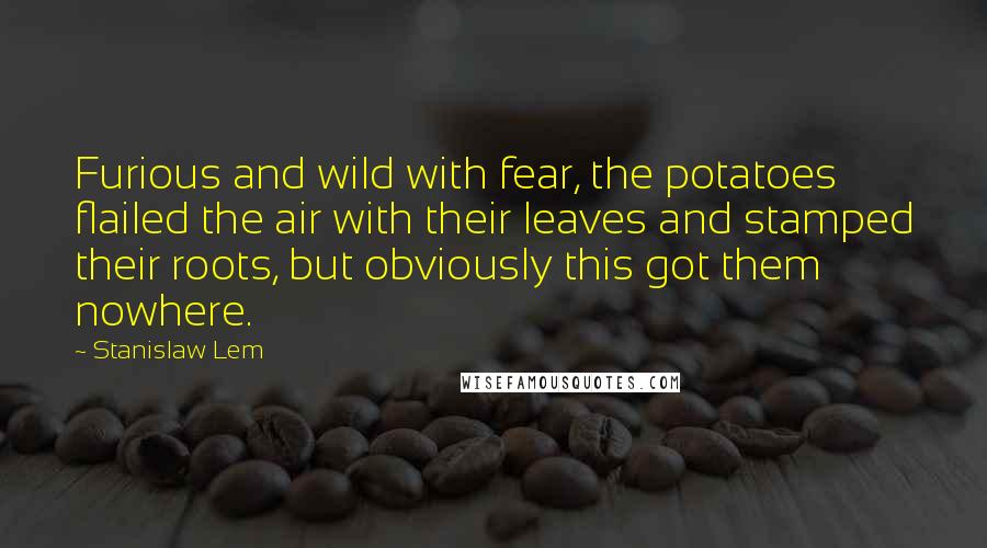 Stanislaw Lem Quotes: Furious and wild with fear, the potatoes flailed the air with their leaves and stamped their roots, but obviously this got them nowhere.