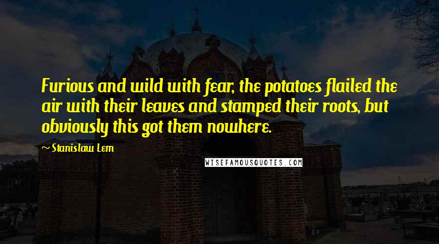 Stanislaw Lem Quotes: Furious and wild with fear, the potatoes flailed the air with their leaves and stamped their roots, but obviously this got them nowhere.