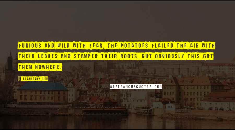 Stanislaw Lem Quotes: Furious and wild with fear, the potatoes flailed the air with their leaves and stamped their roots, but obviously this got them nowhere.