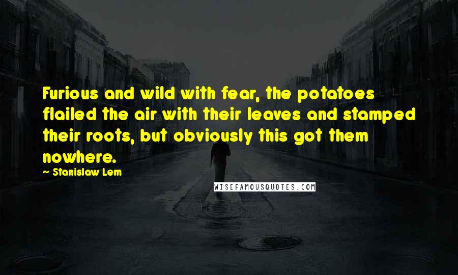 Stanislaw Lem Quotes: Furious and wild with fear, the potatoes flailed the air with their leaves and stamped their roots, but obviously this got them nowhere.