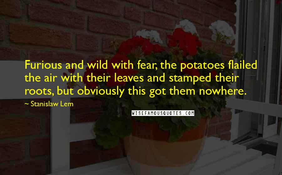 Stanislaw Lem Quotes: Furious and wild with fear, the potatoes flailed the air with their leaves and stamped their roots, but obviously this got them nowhere.