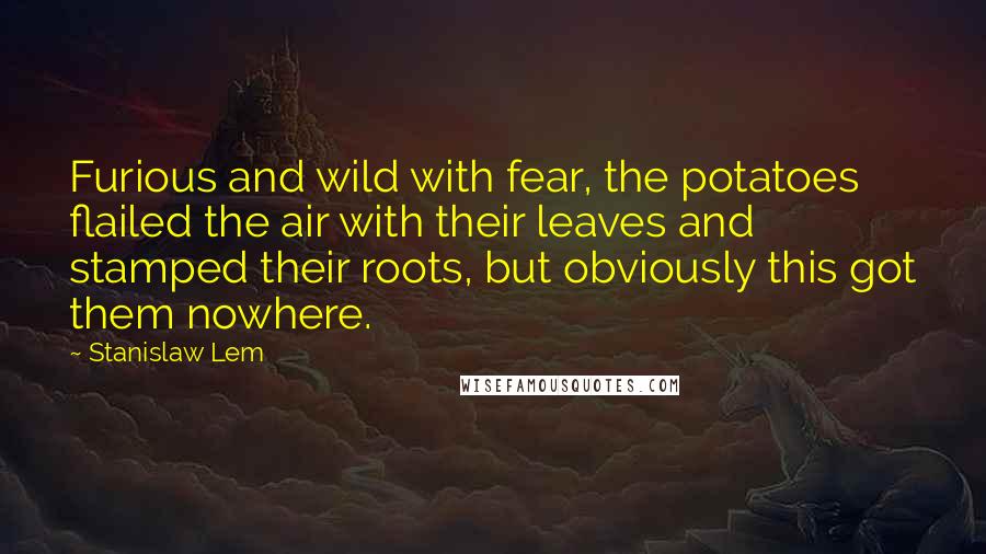 Stanislaw Lem Quotes: Furious and wild with fear, the potatoes flailed the air with their leaves and stamped their roots, but obviously this got them nowhere.