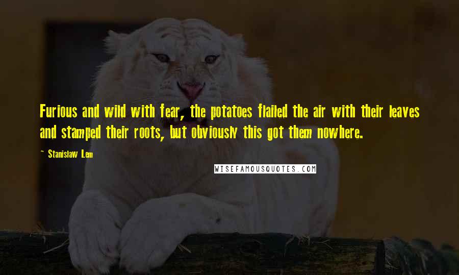 Stanislaw Lem Quotes: Furious and wild with fear, the potatoes flailed the air with their leaves and stamped their roots, but obviously this got them nowhere.