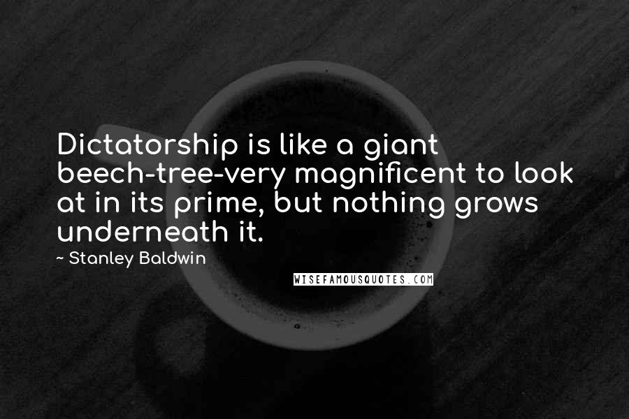 Stanley Baldwin Quotes: Dictatorship is like a giant beech-tree-very magnificent to look at in its prime, but nothing grows underneath it.