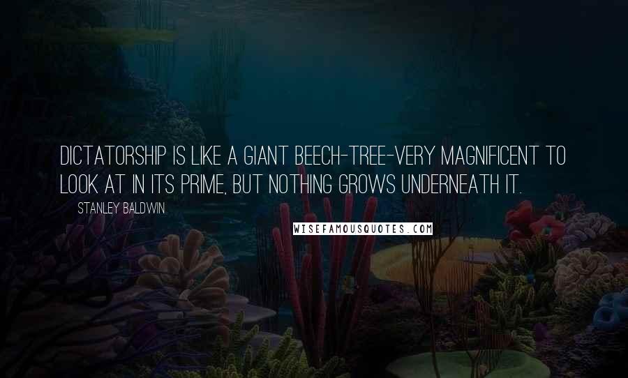 Stanley Baldwin Quotes: Dictatorship is like a giant beech-tree-very magnificent to look at in its prime, but nothing grows underneath it.