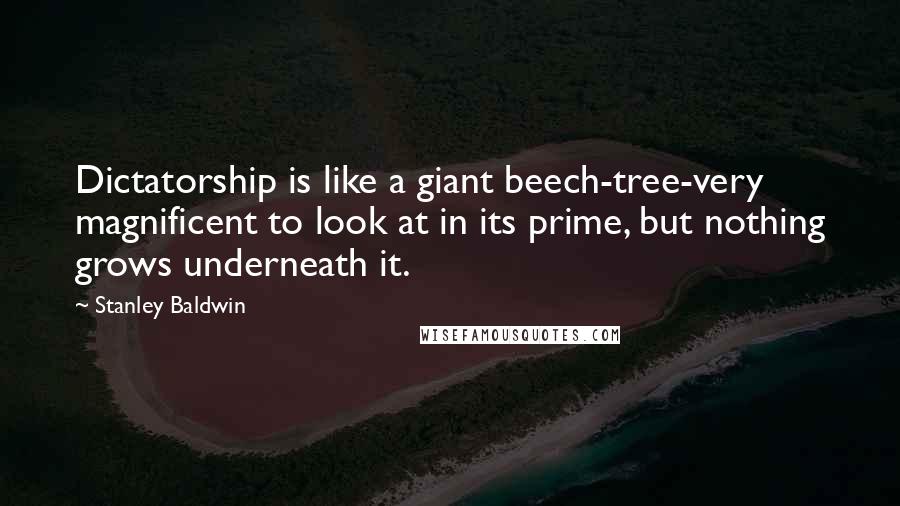 Stanley Baldwin Quotes: Dictatorship is like a giant beech-tree-very magnificent to look at in its prime, but nothing grows underneath it.