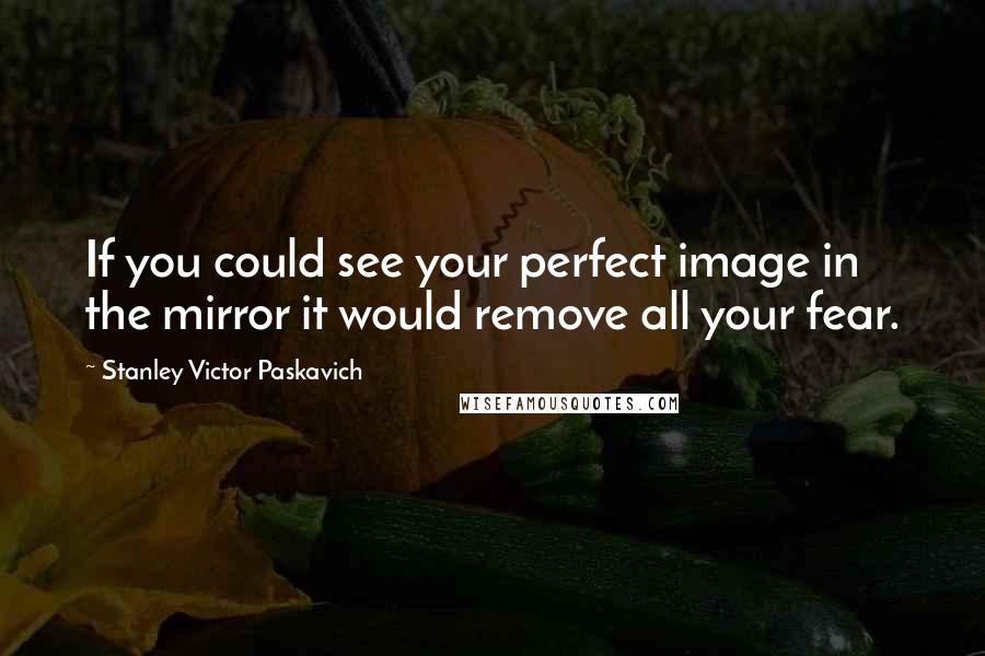 Stanley Victor Paskavich Quotes: If you could see your perfect image in the mirror it would remove all your fear.