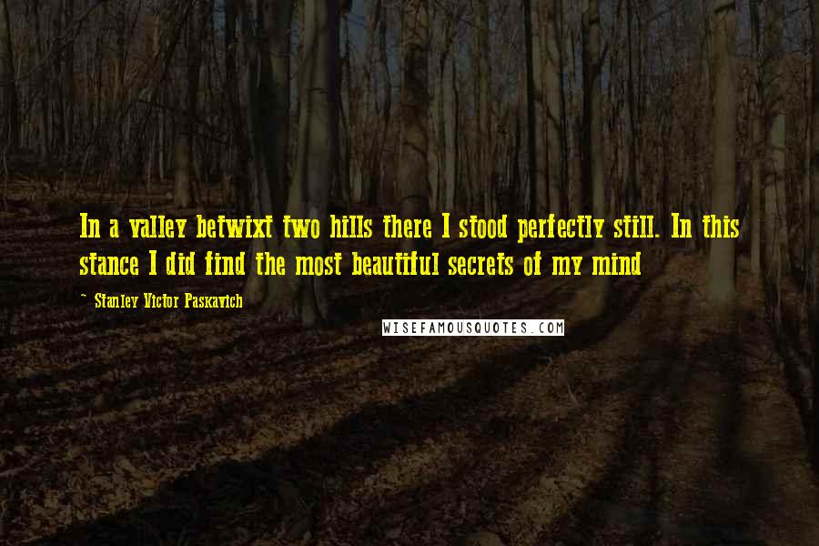 Stanley Victor Paskavich Quotes: In a valley betwixt two hills there I stood perfectly still. In this stance I did find the most beautiful secrets of my mind