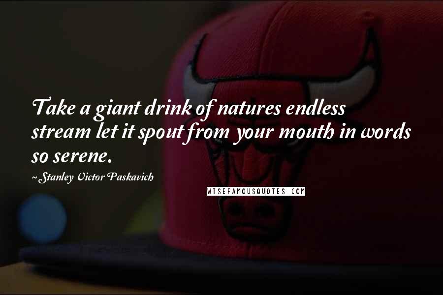 Stanley Victor Paskavich Quotes: Take a giant drink of natures endless stream let it spout from your mouth in words so serene.